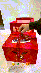 🎅💸 Kreative Weihnachtsgeschenkbox (5-lagig)