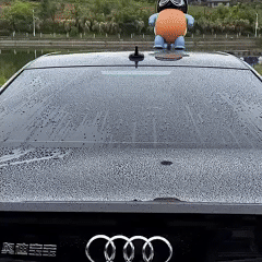 Super saugfähiges Luxus-Autohandtuch 