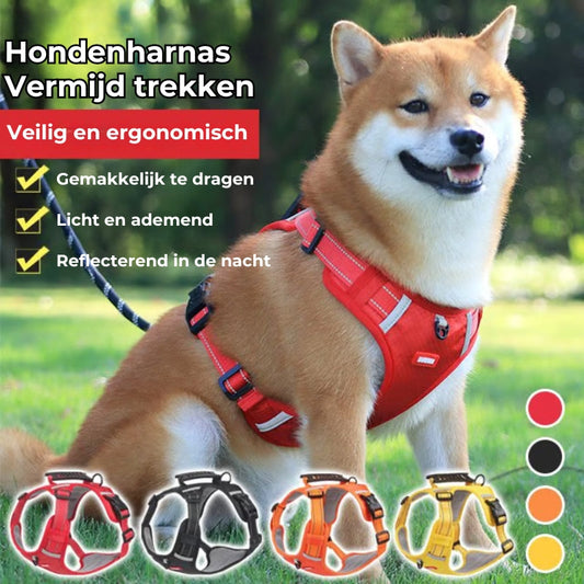 Das bequeme Hundegeschirr