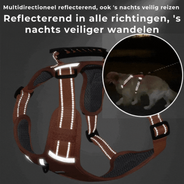 Das bequeme Hundegeschirr