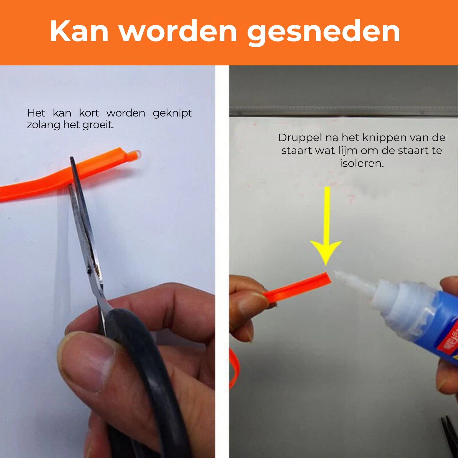 Auto-Schalterbeleuchtungsstreifen