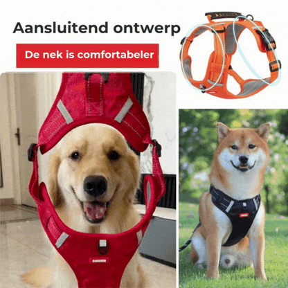 Das bequeme Hundegeschirr