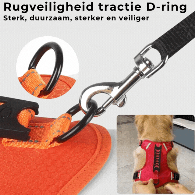 Das bequeme Hundegeschirr