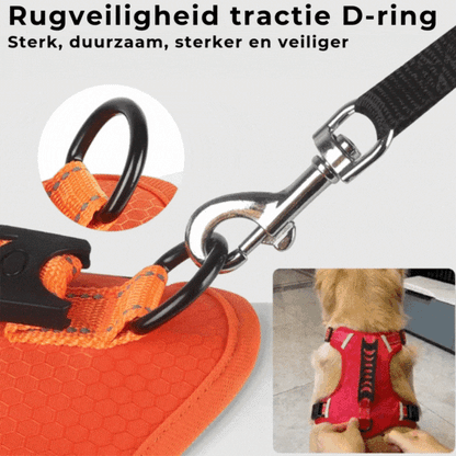 Das bequeme Hundegeschirr