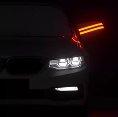 Schneeschutz für die Windschutzscheibe – Verdickt &amp; mit magnetischer Befestigung